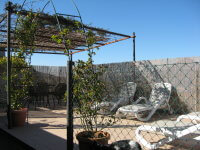 Appartamento Sole terrazza